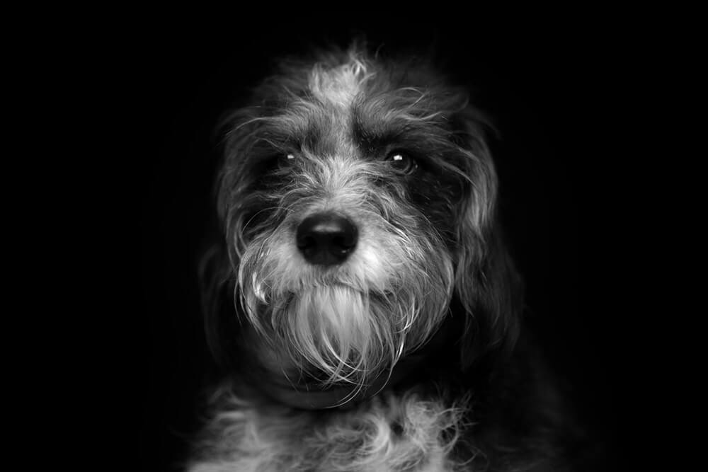 Wilma