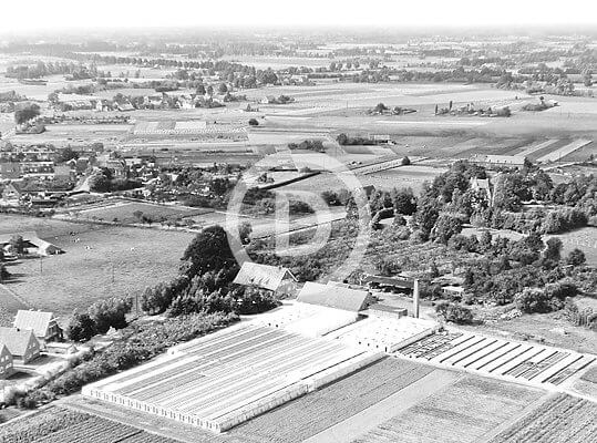 Gärtnerei Gerbaulet aus Richtung Stadt 1957